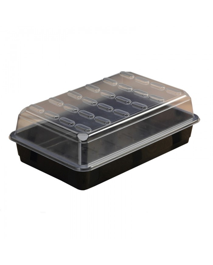 Basic Propagator