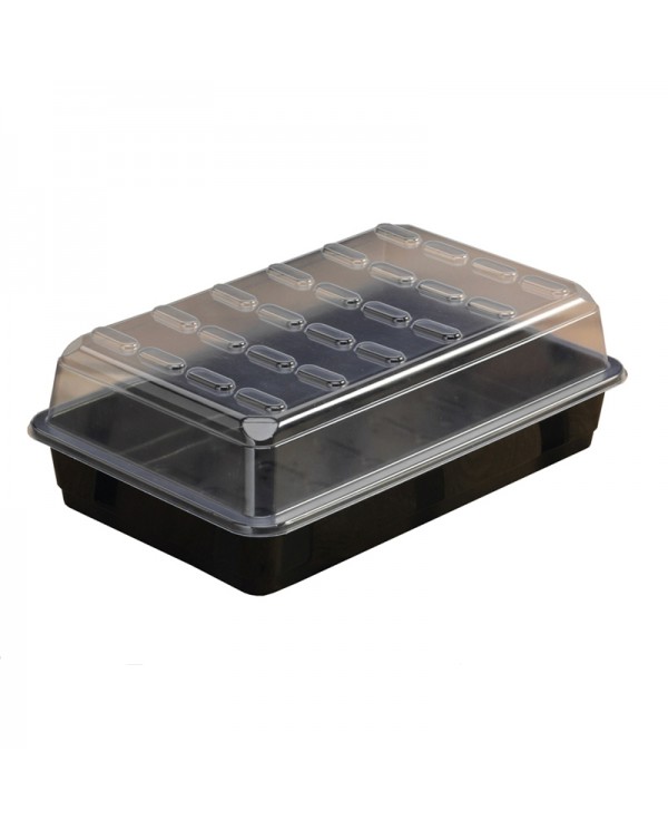 Basic Propagator