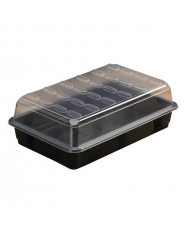 Basic Propagator