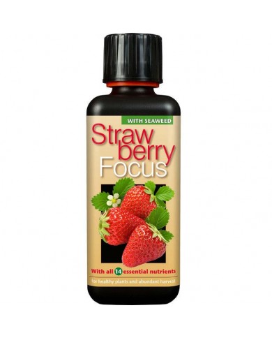 Growth Technology - Strawberry Focus