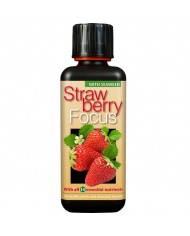 Growth Technology - Strawberry Focus