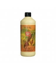 House & Garden - Bud XL House & Garden - Bud XL