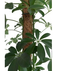 Coir Grow Poles - 1.2m
