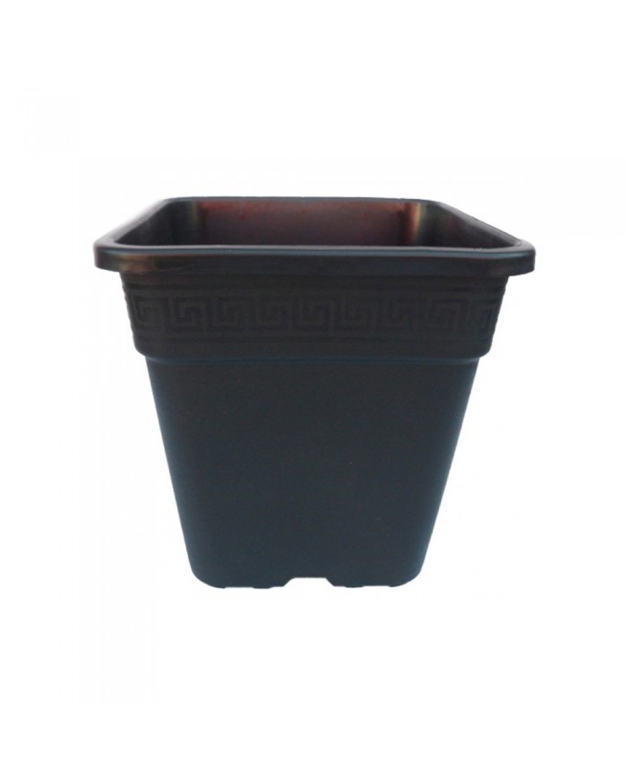 Premium Square Plastic Pots