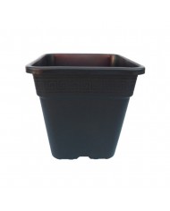 Premium Square Plastic Pots