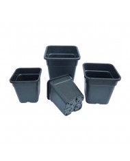 Premium Square Plastic Pots