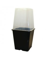 Clear Propagation Lid for 11L Pot