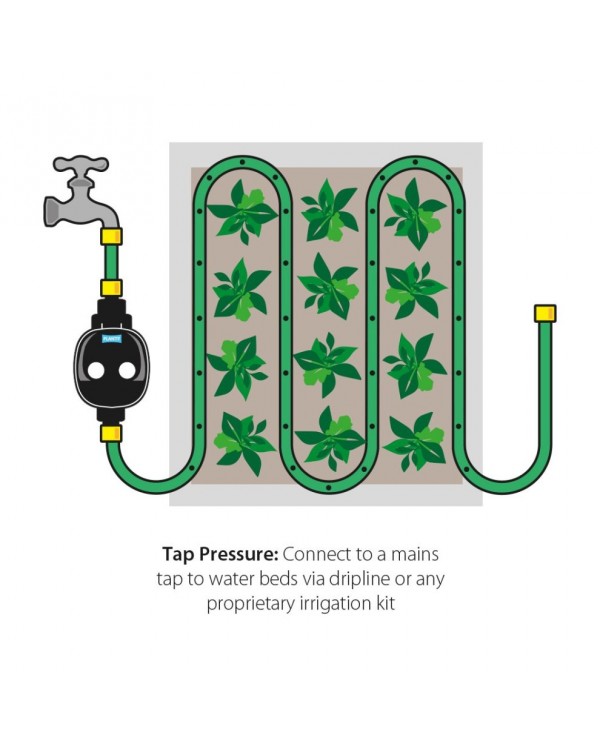PLANT!T Water Timer