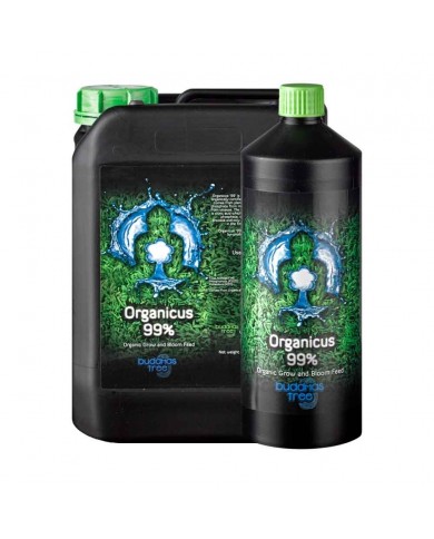 Buddhas Tree - Organicus 99%