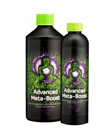Buddhas Tree - Advanced Meta-Boost