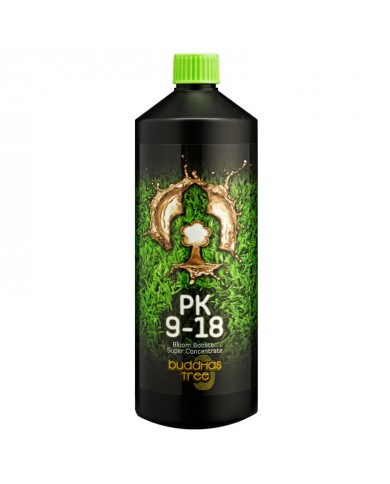Buddhas Tree - PK 9-18
