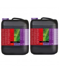 B'cuzz - Coco Nutrition A & B